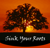 Sink Your Roots Logo